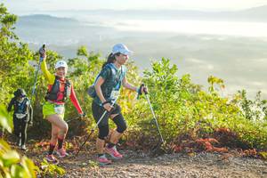 BIB: 
                            <button type="button" onclick="openModal(21877731)" class="btn btn-primary btn-sm float-right btn-popup" data-toggle="modal" data-target=".modal-high-quality">
                        <i class="fas fa-shopping-cart"></i> Add to Cart
                    </button>
                                            <button type="button" onclick="isThisMe(21877731, true)" class="btn btn-success btn-sm float-right btn-popup btn-isme hidden" data-toggle="tooltip" data-placement="bottom" title="นี่คือรูปของคุณใช่ไหม คลิกที่นี่เพื่อเอาเข้าอัลบั้ม">
                        <i class="fas fa-plus"></i> Add to album
                    </button>
                    <button type="button" onclick="isThisMe(21877731, false)" class="btn btn-warning btn-sm float-right btn-popup btn-isnotme hidden">
                        <i class="fas fa-ban"></i> Remove from album
                    </button>